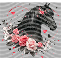 Valentine's Day-QRJ  5871